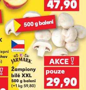 AMPIONY BL XXL