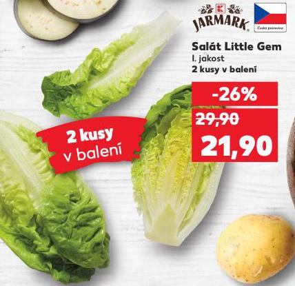 SALT LITTLE GEM