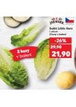 SALÁT LITTLE GEM