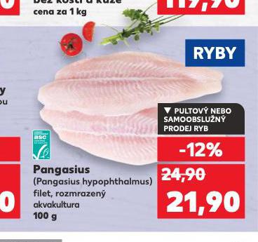 PANGASIUS