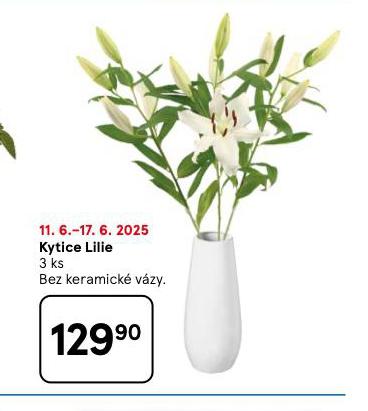 KYTICE LILIE
