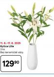 KYTICE LILIE