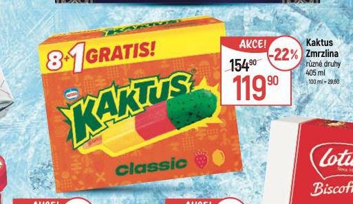 KAKTUS ZMRZLINA