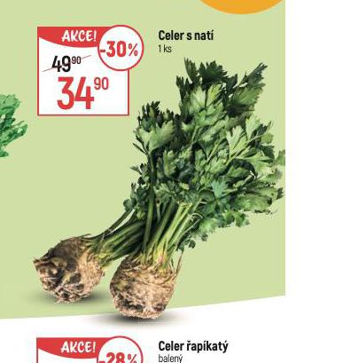 CELER S NAT