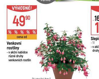 VENKOVN ROSTLINY