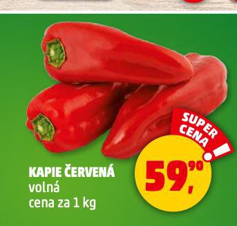 KAPIE ERVEN