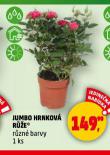 JUMBO HRNKOV RَE