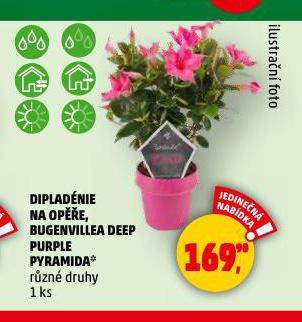 DIPLADNIE NA OPE