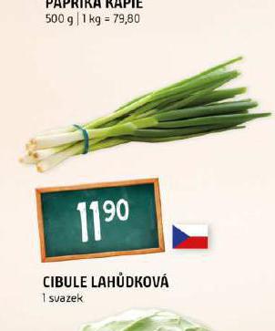 CIBULKA LAHDKOV