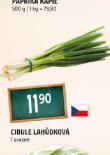 CIBULKA LAHDKOV