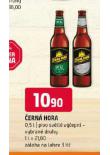 PIVO ERN HORA