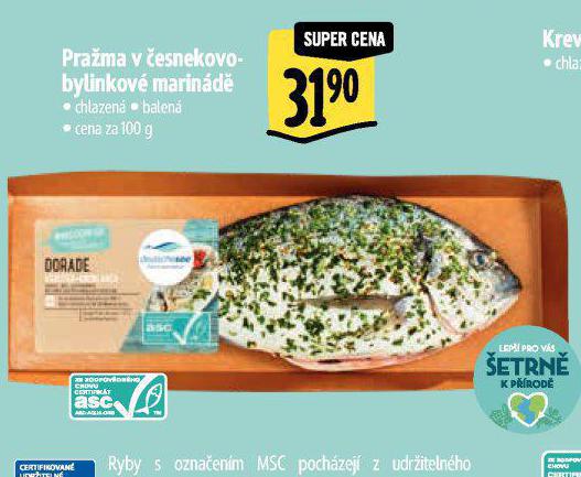 PRAMA V ESNEKOVO-BYLINKOV MARIND