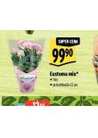 EUSTONA MIX
