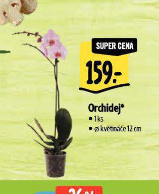 ORCHIDEJ