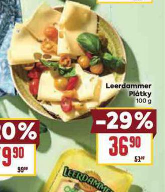 LEERDAMMER PLTKY