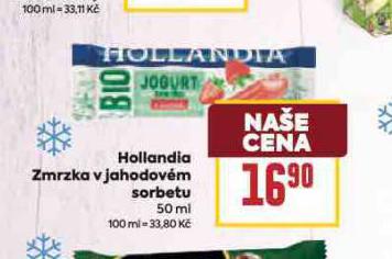 HOLLANDIA ZMRZKA V JAHODOVM SORBETU
