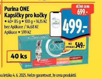 PURINA ONE KAPSIKY PRO KOKY