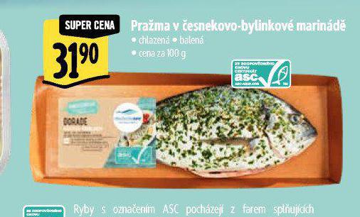 PRAMA V ESNEKOVO-BYLINKOV MARIND
