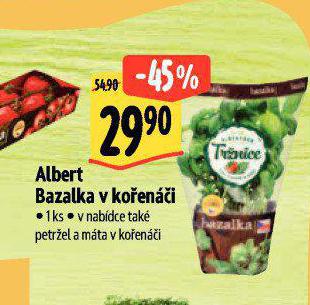 BAZALKA V KOENI