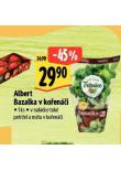 BAZALKA V KOENI