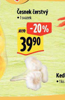 ESNEK ESK