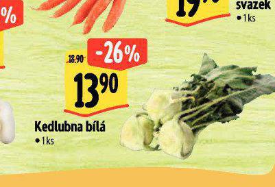 KEDLUBNA BL