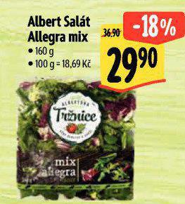 SALT ALLEGRA MIX