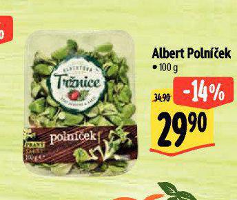 POLNEK