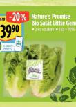 BIO SALT LITTLE GEM