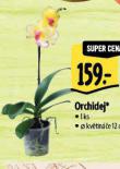 ORCHIDEJ
