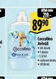 COCCOLINO AVIV