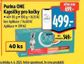 PURINA ONE KAPSIKY PRO KOKY