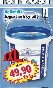 HOLLANDIA JOGURT SELSK BL