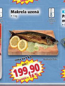 MAKRELA UZEN
