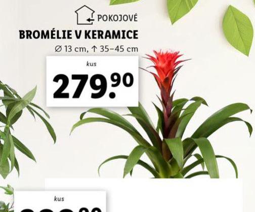 BROMLIE V KERAMICE