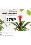 BROMLIE V KERAMICE