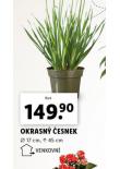 OKRASN ESNEK