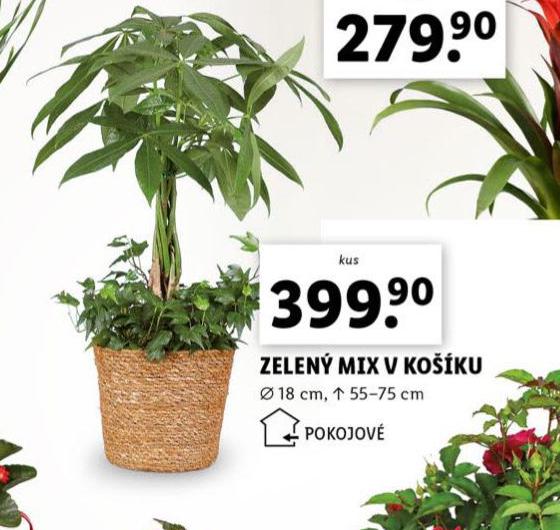 ZELEN MIX V KOKU