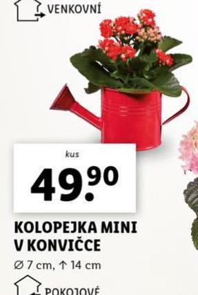 KOLOPEJKA MINI V KONVICE