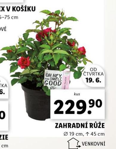 ZAHRADN RَE