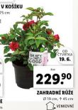 ZAHRADN RَE