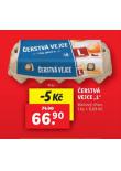 ERSTV VEJCE L