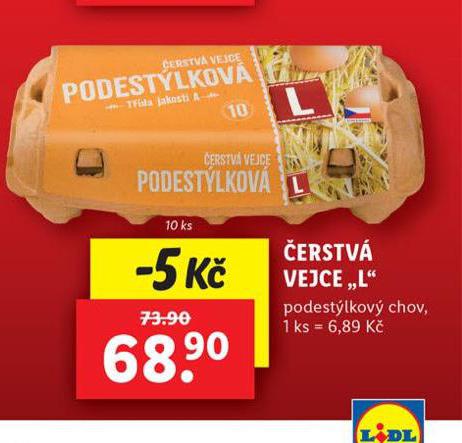 ERSTV VEJCE L