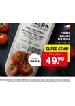 CHERRY RAJATA KEKOV