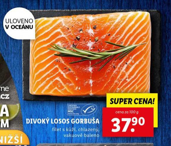 DIVOK LOSOS GORBUA