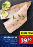 CANDT OBECN