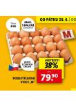 PODESTLKOV VEJCE M