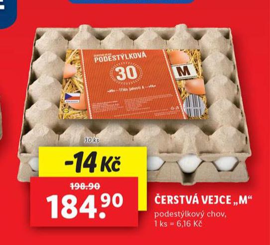 ERSTV VEJCE M