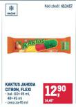 KAKTUS ZMRZLINA