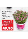 KARAFIÁT PINK